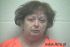 CYNTHIA ROSSON Arrest Mugshot Giles 2017-06-02