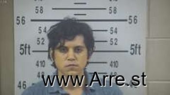 Alexander  Villarreal Mugshot