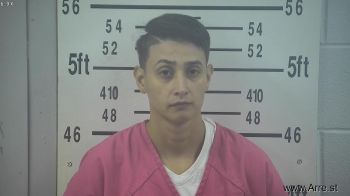 Alexandra Renee Mireles Mugshot