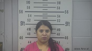 Alondra Aketzali Alejandro Mugshot