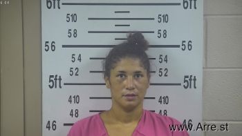 Amanda  Prince Mugshot