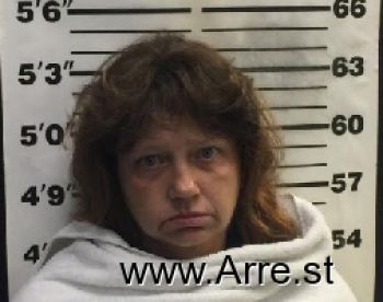 Amy Janelle Wilson Mugshot