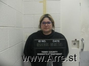 Angela  Castellon Mugshot