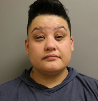 Adriana  Medina Mugshot