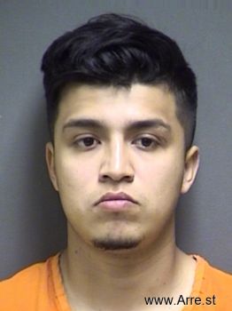 Alan  Salinas Mugshot