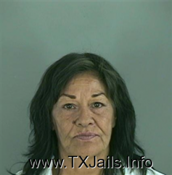 Alicia  Torres Mugshot