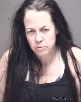 Alison Anne Miller Mugshot