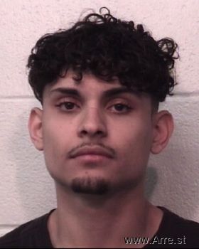 Allan Nelson Flores Mugshot