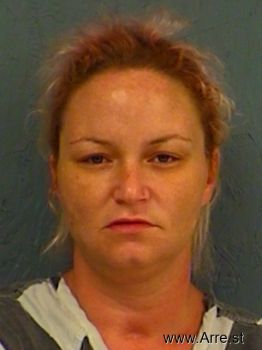 Amanda Louise Allison Mugshot