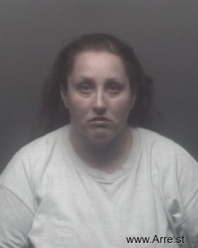 Amanda Renee Dalton-johnson Mugshot