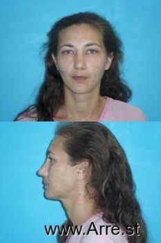 Amanda Lynn King Mugshot