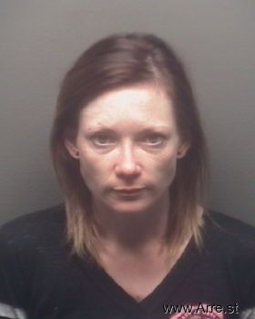 Amanda Irene Ogden Mugshot