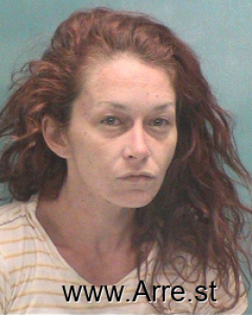 Amanda Nicole Ramey Mugshot