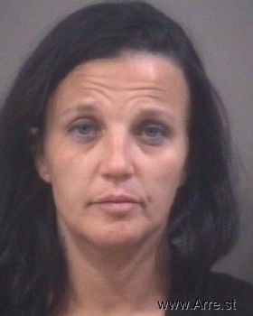 Amanda Lynn Williamson Mugshot