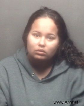 Amber Dawn Owens Mugshot