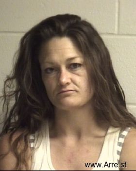 Amy Lyn Morgan Mugshot