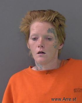 Amy Elizabeth Nelson Mugshot