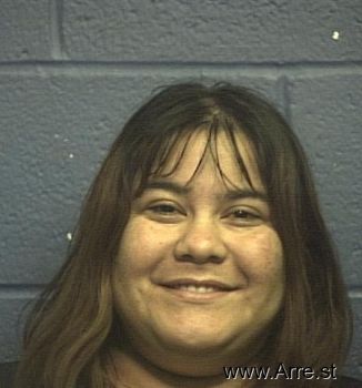 Ana Alicia Avila Mugshot