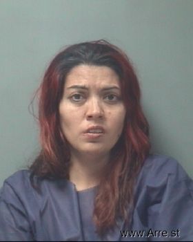 Analy Veronica Solis Mugshot