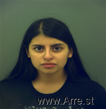 Andree  Guzman Mugshot