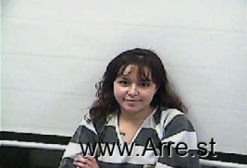 April Michelle Wilson Mugshot