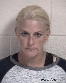 Ashley Nicole Elkins Mugshot