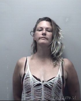 Ashley Nicole Elkins Mugshot