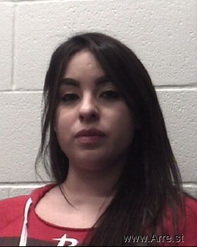 Ashley Ann Hernandez Mugshot