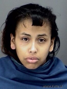 Ashley Patricia Perez Mugshot