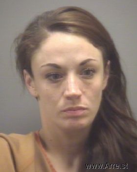 Ashley Lyn Schmidt Mugshot