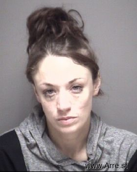 Ashley Lyn Schmidt Mugshot