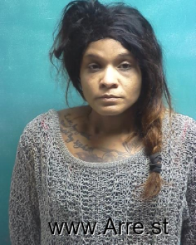 Ashley Nicole Shepherd Mugshot