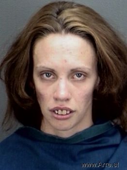 Ashley Nicole Wagner Mugshot