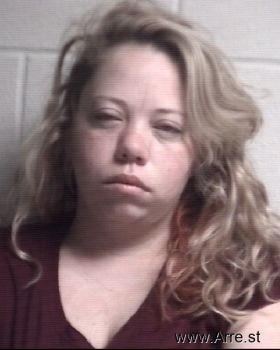 Ashley Ann Wyatt Mugshot