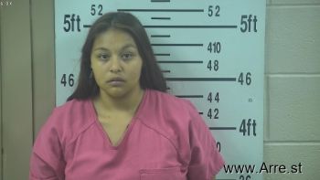 Brandi Celeste Chavez Mugshot