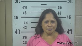 Brenda Lee Navarro Mugshot