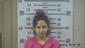 Brianna Renee Valdez Mugshot