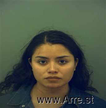 Berenice  Sanchez Mugshot