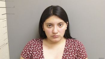 Bianca  Hernandez Mugshot