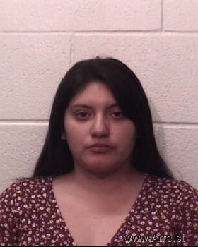 Bianca  Hernandez Mugshot