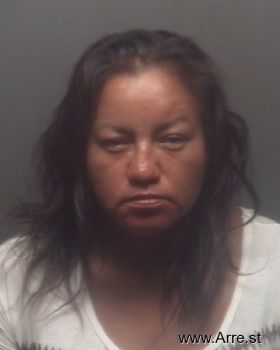 Brandi  Jones Mugshot