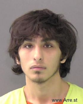 Brandon  Castillo Mugshot