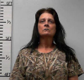 Brandy Nicole Mize Mugshot