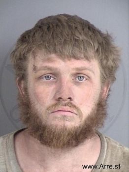 Brian Andrew Leviness Mugshot