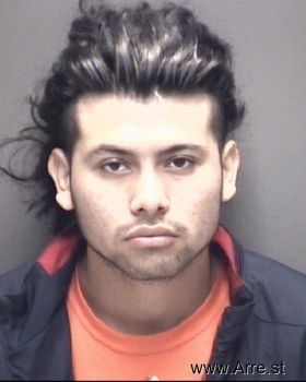 Bryant Jose Hernandez Mugshot