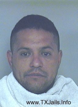 Carlos Navarro Alcocer Mugshot