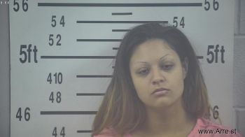 Chelsea Kay Johnson Mugshot