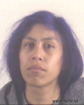 Christine Elizabeth Ramirez Mugshot