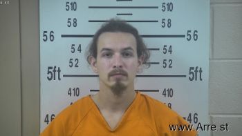 Cody Lee Holthusen Mugshot