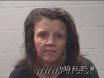 Cynthia Ann Holmes Mugshot